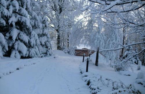 Lawendowa Dolina - Foto 30