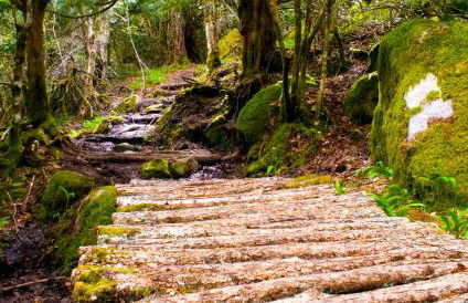 Hospedería El Pico del Fraile - Foto 41