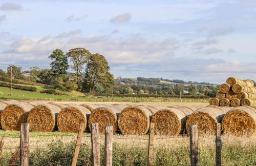 Bonjedward Mill Farm Cottage - Foto 21