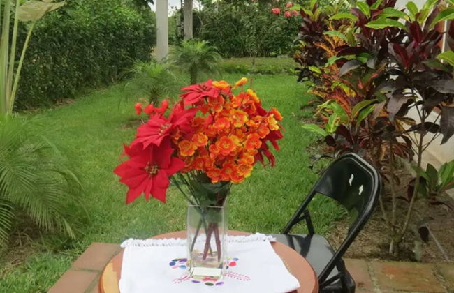 Quinta Cascada Azul - Foto 11