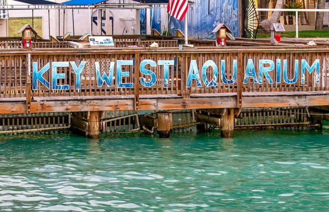 Excursión a Cayo Hueso - Foto 4