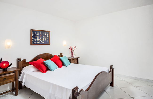 Bougainvillae Trilo Plus - Foto 11