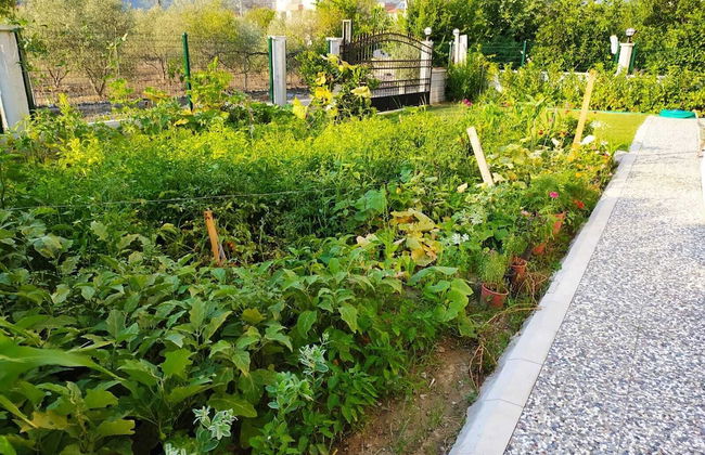 Kaya House Daily Flat - Foto 51