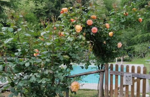 A Casa Del Tosi - Foto 14