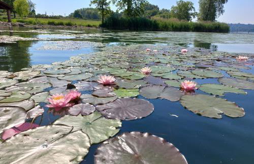 Appartamento Miralago Varese Lakefront and Garden - Foto 8