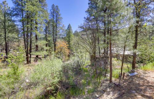 Less Than 5 Mi to Ghost Town Mtn-View Crown King Retreat - Foto 22