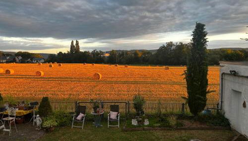 Guidos Place Souterrain Apartment - Foto 2, Garden