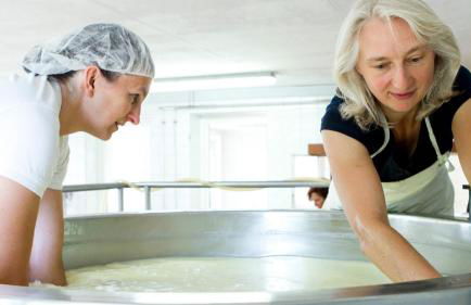 Hollweck´s Landoase - Foto 31