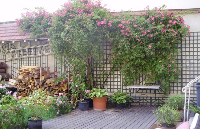 Hotel Villa Escudier - Foto 30