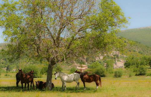 Chateau des Gipières bij de Mont Ventoux - Foto 41