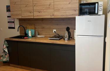 Noclegi Opole-Chmielowice Apartament C - Foto 13