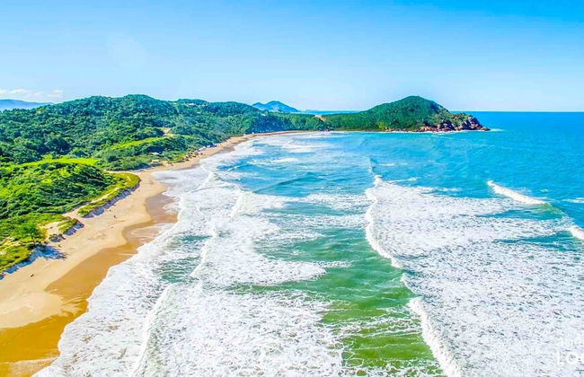 Franca's House - Piscina - Praia do Rosa - Photo 49