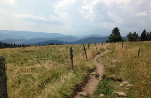 Un séjour ressourçant en Alsace entre vignes et montagnes l'Escapade Barochaise à 20mn de Colmar - Foto 23