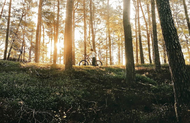 6 Person Holiday Home in Ekero-by Traum - Photo 16