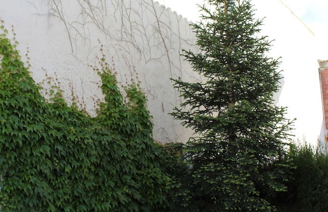 Villa Rural Campillo de Arenas - Foto 22