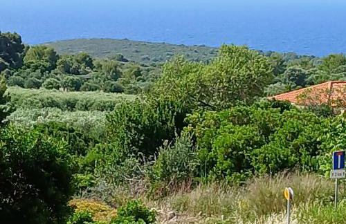 Apartments Elena & Damir - Foto 35