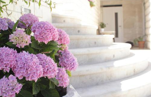 Apartments Nine Slano - Foto 49