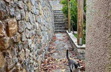 Panorama Traditional Village House - Foto 10