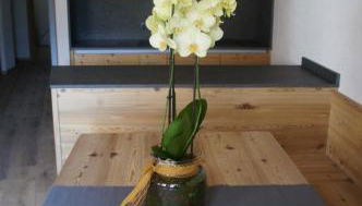 Apartment Al Sasso - Photo 5