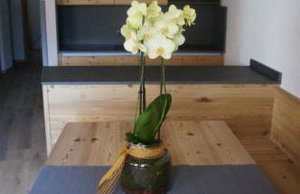 Apartment Al Sasso - Photo 5