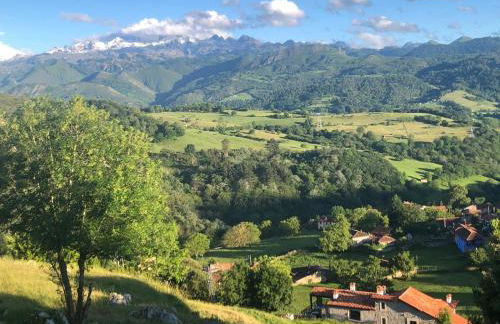 Apartamentos Picabel - Foto 64