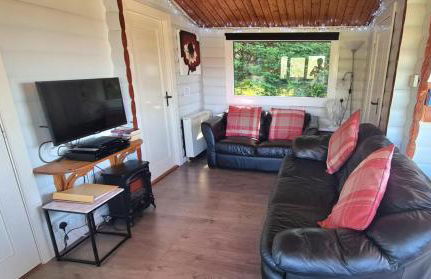 Cosy log cabin in Snowdonia 167 - Foto 5