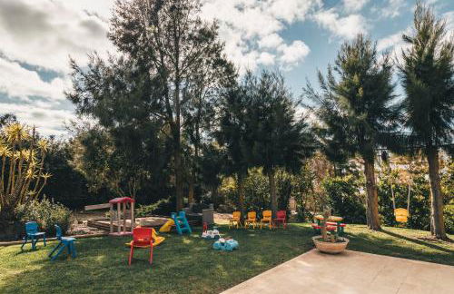 Vale Pisco - Photo 148