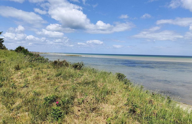5 Star Holiday Home in Hadsund - Foto 38