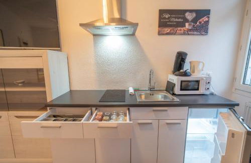 Modernes Studio Koblenz mit Küche, WLAN & Gemeinschaftsbad - Foto 7