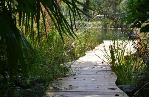 Mas Franch - Foto 31