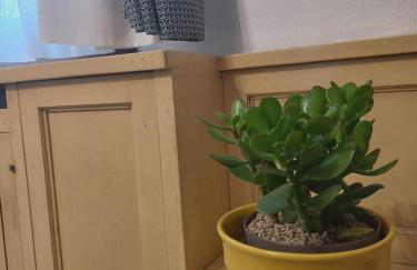 Rosa d' Inverno - Foto 17