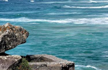 Les hortensias de papy - Foto 30