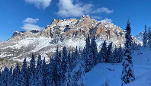 Les Contrades - Photo 2