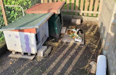 Ferienhof Manowski Nr1 - Foto 20