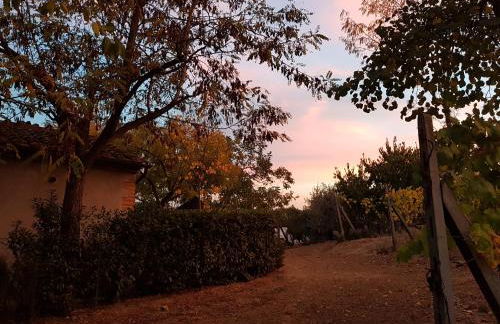 Agriturismo Villino del Grillo - Foto 37