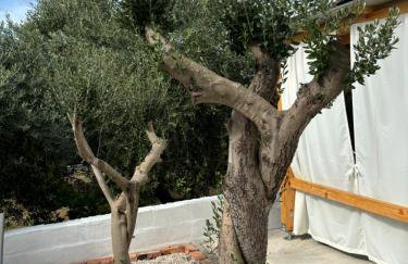 Apartman Irena 2 - Photo 1