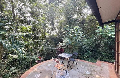 Casa Caipira , Refúgio na Floresta Rota do Vinho - Foto 17