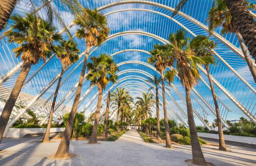 Aroma D’ Valencia - Foto 20