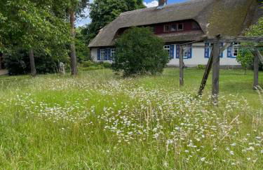 Pfarrhaus Tollensesee - Foto 6