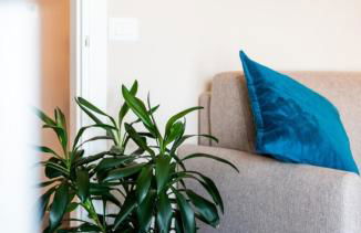 mA Maison Almerici - Foto 49