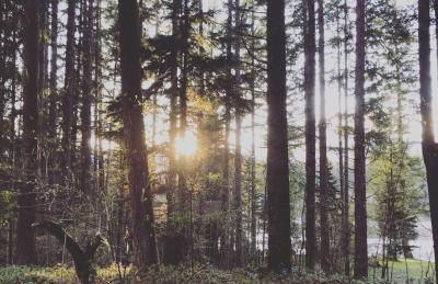 Elk Lodge - Photo 50