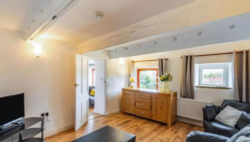 Arthur Bear - Uk37992 - Photo 4