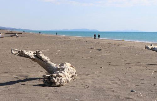 Antiche Fonti - Foto 33