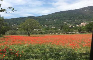 Les Genêts - Foto 42