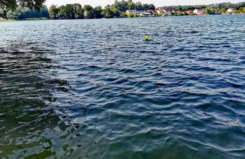 Tweet Tohuus - Foto 8