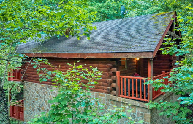 Mountain Laurel - Foto 35