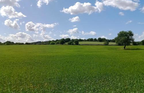 Agriturismo Teatro del grano - Foto 13