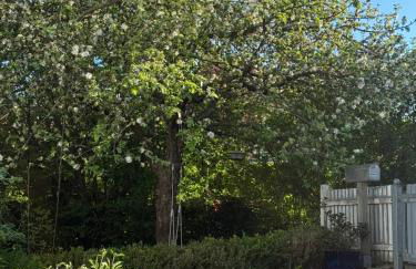 Wohlfühldomizil - Foto 19