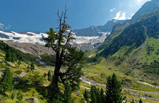 Appartements Fürstalm Alpendorf - Foto 1