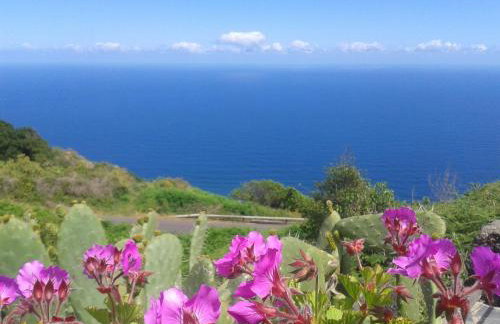 Finca El Lance - Foto 24